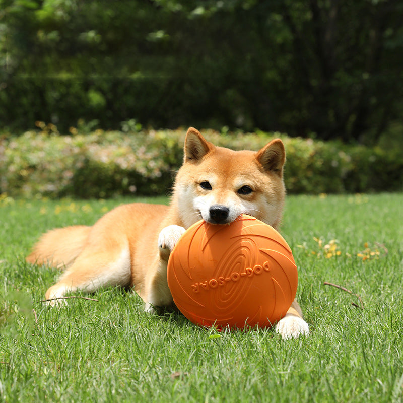 Bite-Resistant Floating Dog Frisbee