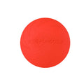 Bite-Resistant Floating Dog Frisbee