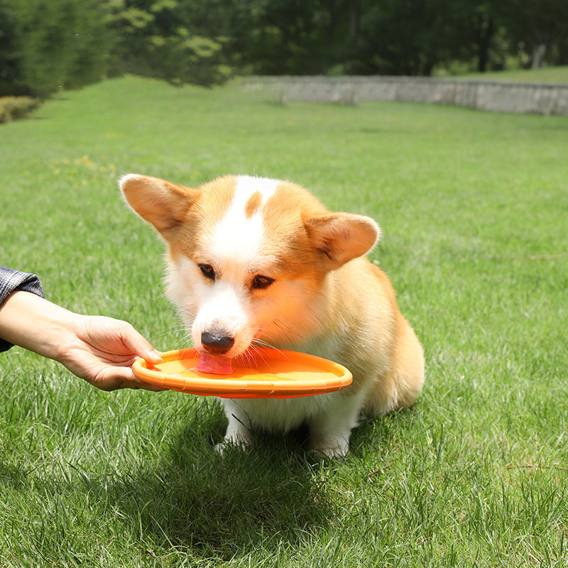 Bite-Resistant Floating Dog Frisbee